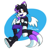 Salem 2021 design update